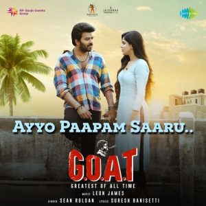 Ayyo Paapam Saaru album art