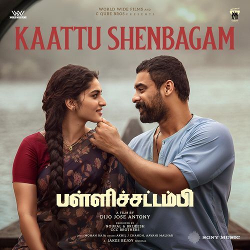 Pallichattambi album cover