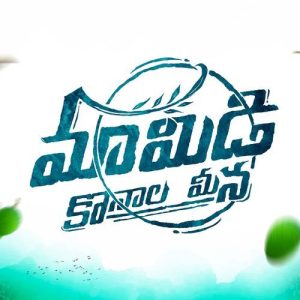 Mamidi Konala Meena album art