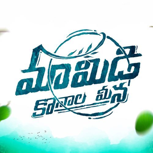 Mamidi Konala Meena album cover