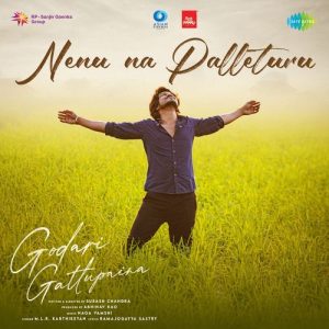 Nenu Na Palleturu album art