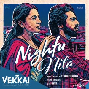 Nightu Nila album art