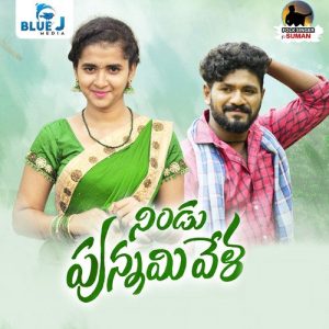 Nindu Punammi Vela album art