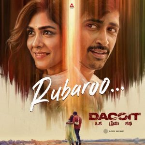 Rubaroo album art