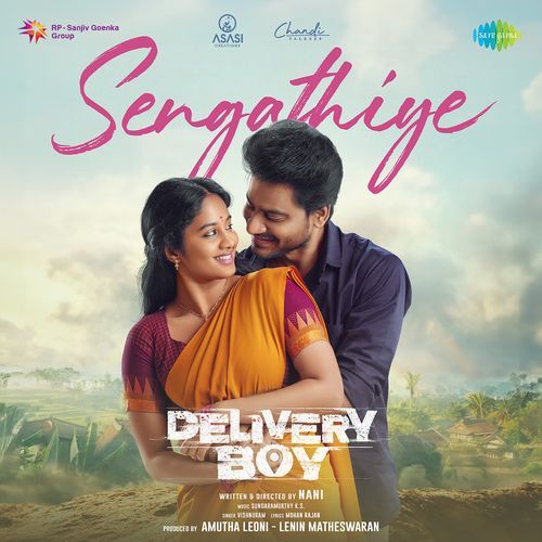 Delivery Boy album cover