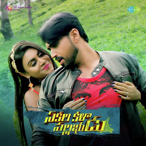 Sakalakalavallabhudu album cover