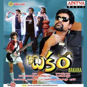 Baba Bhai Theme album art