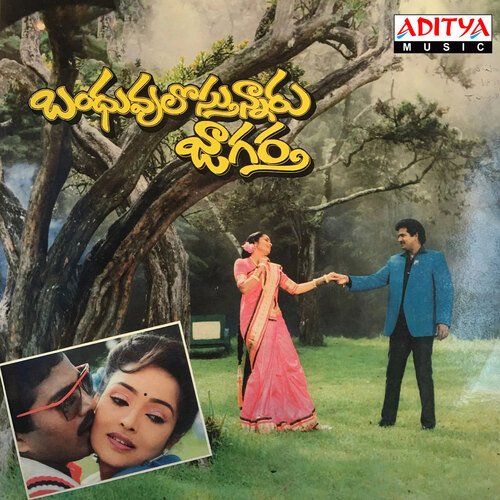 Bandhuvulostunnaru Jagratha album cover