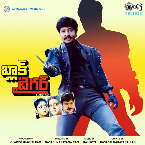 Black Tiger album cover