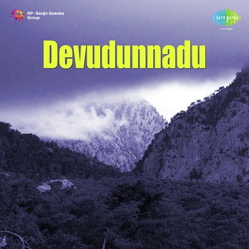 Devudunnadu album cover