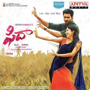Vachinde album art