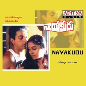 Nee Guduchedirindi album art