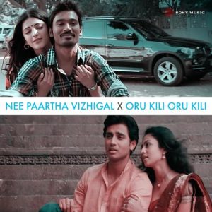 Nee Paartha Vizhigal X Oru Kili Oru Kili album art