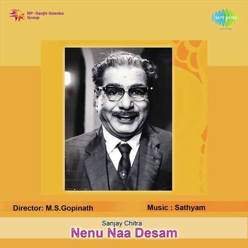 Nenu Naa Desam album cover