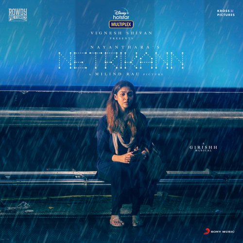 Netrikann album cover