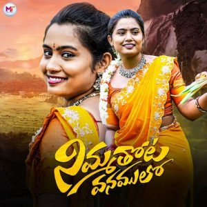 Nimmathota Vanamulo album art