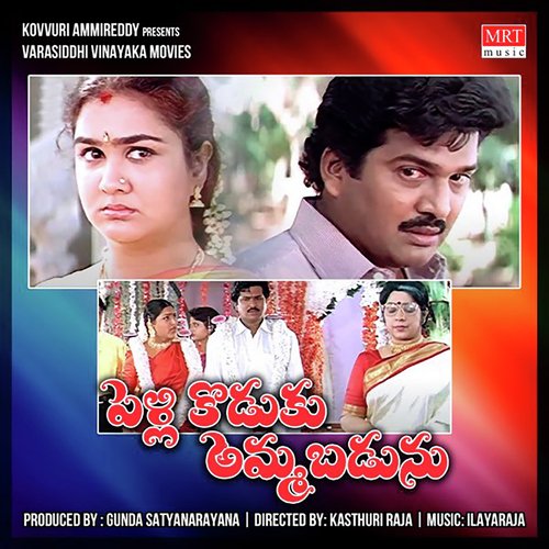 Pellikoduku Ammabadunu album cover