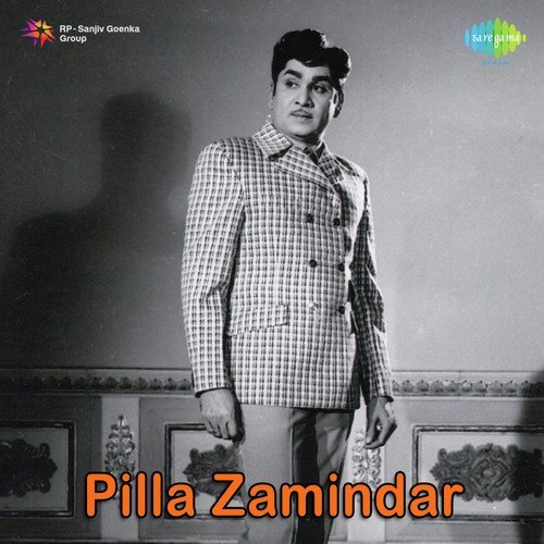 Pilla Zamindar album cover