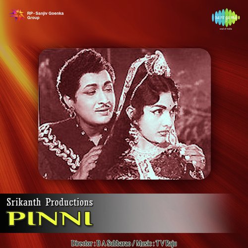 Pinni album cover