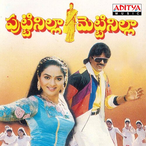 Puttinilla Mettinilla album cover