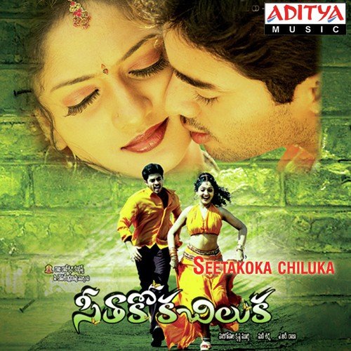 Seethakoka Chiluka album cover