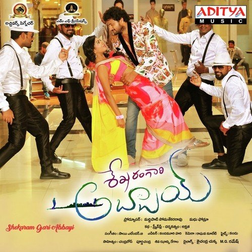 Shekaram Gari Abbayi album cover