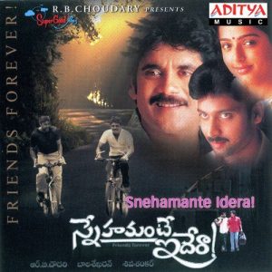 Naa Pedaviki Navullu album art