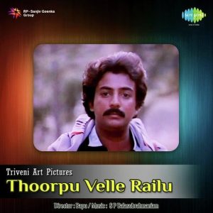 Vasthaade Naa Raaju album art