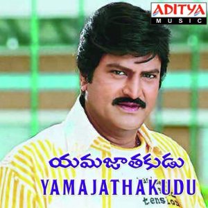 Navvalamma Navvali album art