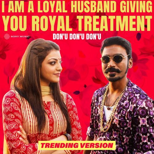I Am A Loyal Husband Giving You Royal Treatment (Donu Donu Donu Trending Version) album cover