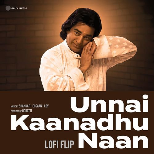 Unnai Kaanadhu Naan (Lofi Flip) album cover